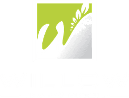 Willow Realty Group